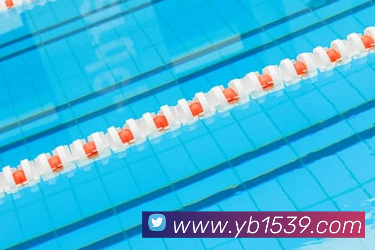 yabo体育平台官网入口全站App